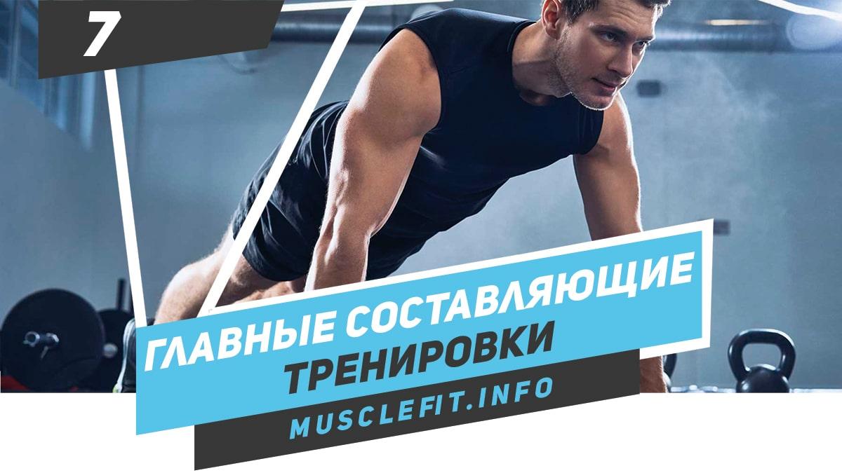 Главные составляющие тренировки