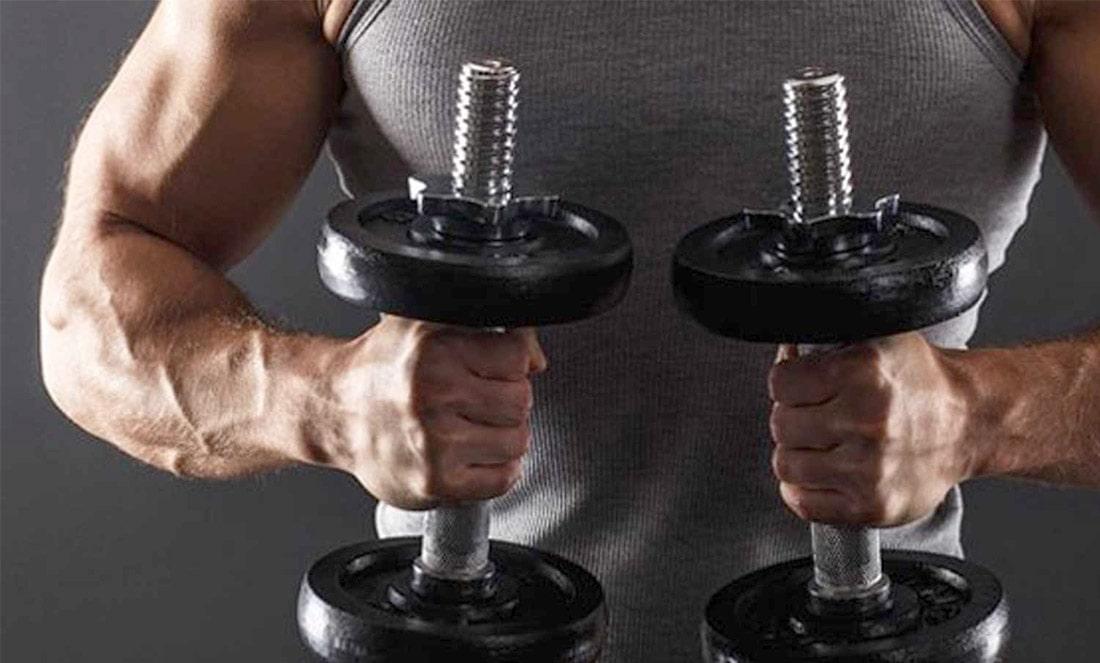 Какие мышцы можно тренировать в один день